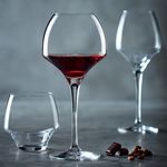 chef and sommelier port glasses