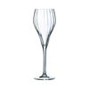 Набор бокалов-флюте для шампанского Symetrie, 6 шт, 160 мл, D65 мм, H198 мм, Chef&Sommelier, фото 