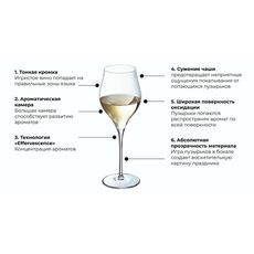 Набор бокалов для шампанского Exaltation, 6 шт, 300 мл, Chef&Sommelier, Кол-во в наборе: 6, фото , изображение 6