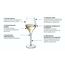 Набор бокалов для шампанского Exaltation, 6 шт, 300 мл, Chef&Sommelier, Кол-во в наборе: 6, фото , изображение 6