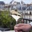 Аэрирующие бокалы для вина L'Atelier du Vin L'Exploreur Oenologie 4 шт., фото , изображение 5